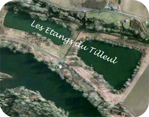 prise de vue aérienne des étang  du Tilleul à feurs